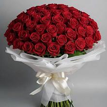 Букет 101 Красная роза Блэк Мэджик в Шиханах