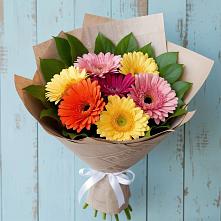 Букет цветов из:  Герберы в Шиханах