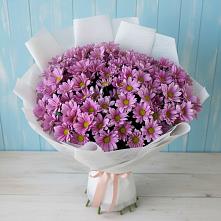 Букет цветов из:  Хризантемы #REPLACE_PRED# Шиханах