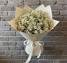Букет цветов из:  Ромашки в Шиханах