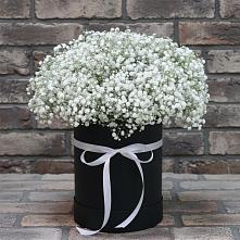 Цветочная композиция из Гипсофила в шляпной коробке в Шиханах