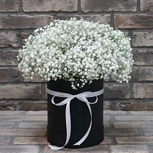 Цветочная композиция из Гипсофила в шляпной коробке в Шиханах