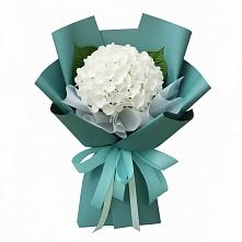 Букет цветов из:  Гортензия в Шиханах